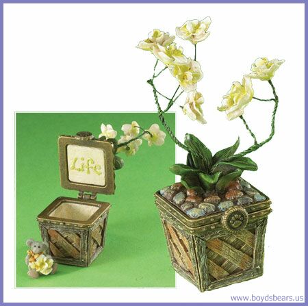 Leila's Orchid w/Bloom McNibble - Click Image to Close